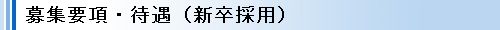募集要項・待遇(新卒採用)