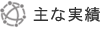 主な実績